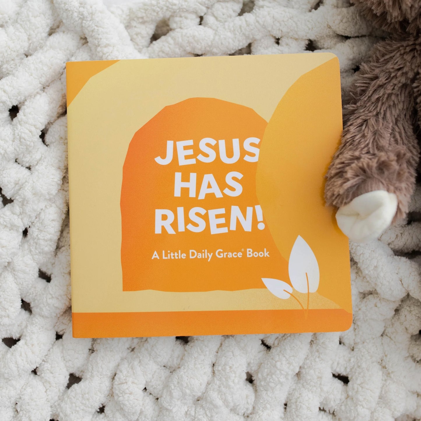 JESUS HAS RISEN-CHILDRENS BOOK